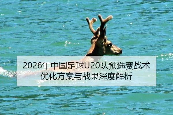 2026年中国足球U20队预选赛战术优化方案与战果深度解析